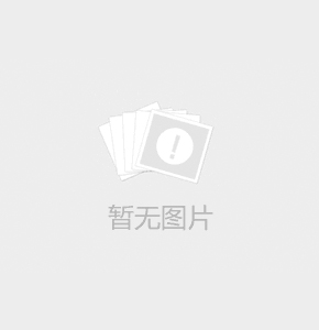 coloured bumper plate